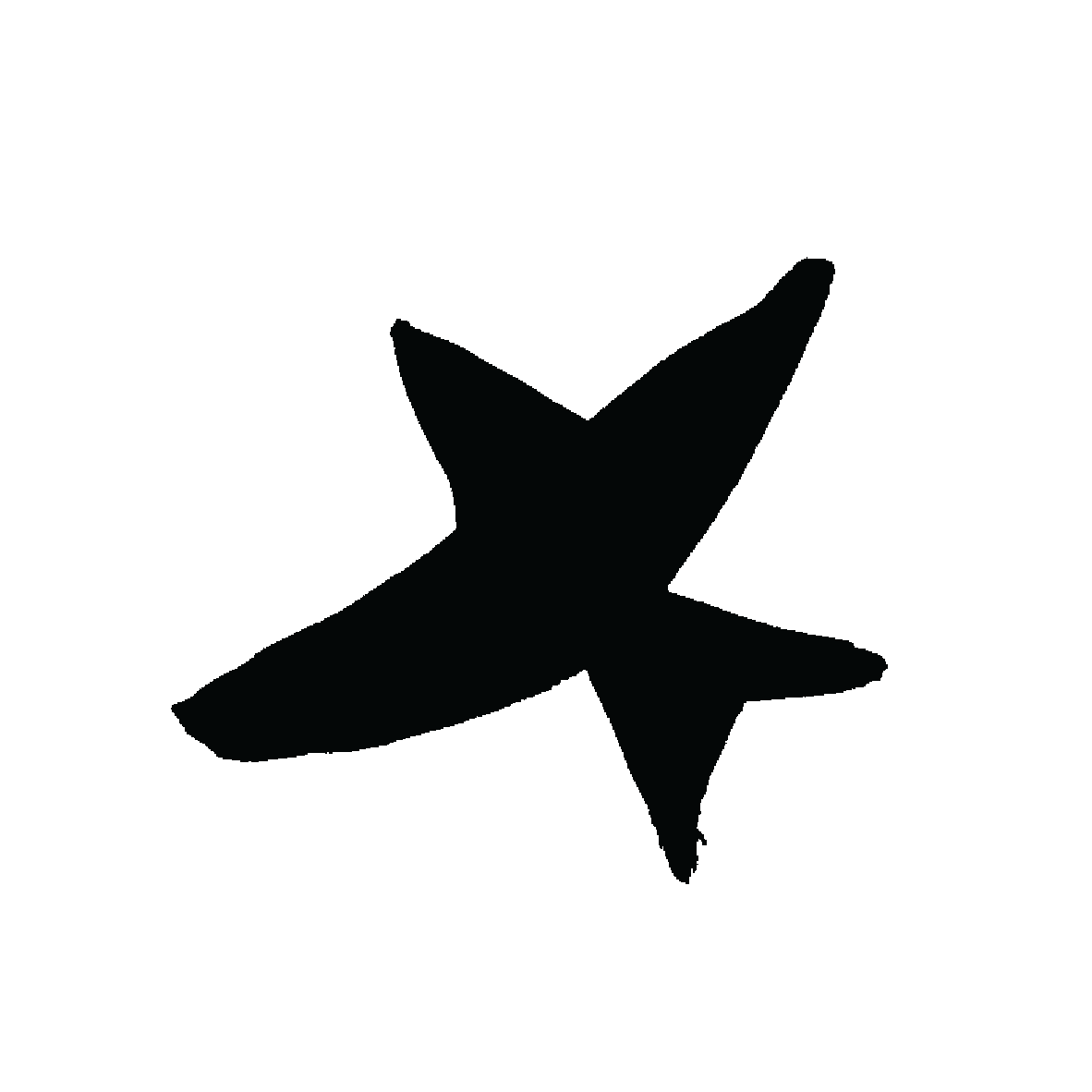 Star Ornament
