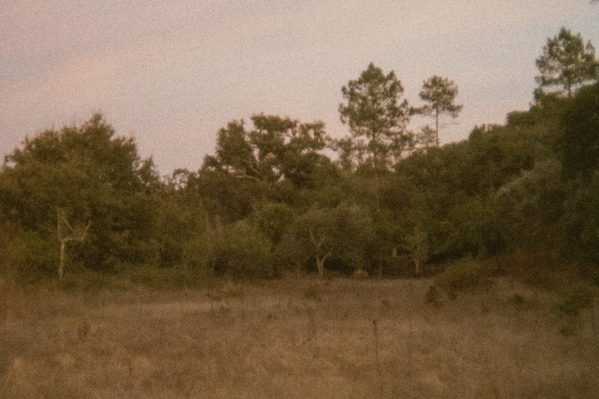 Nature & Trails