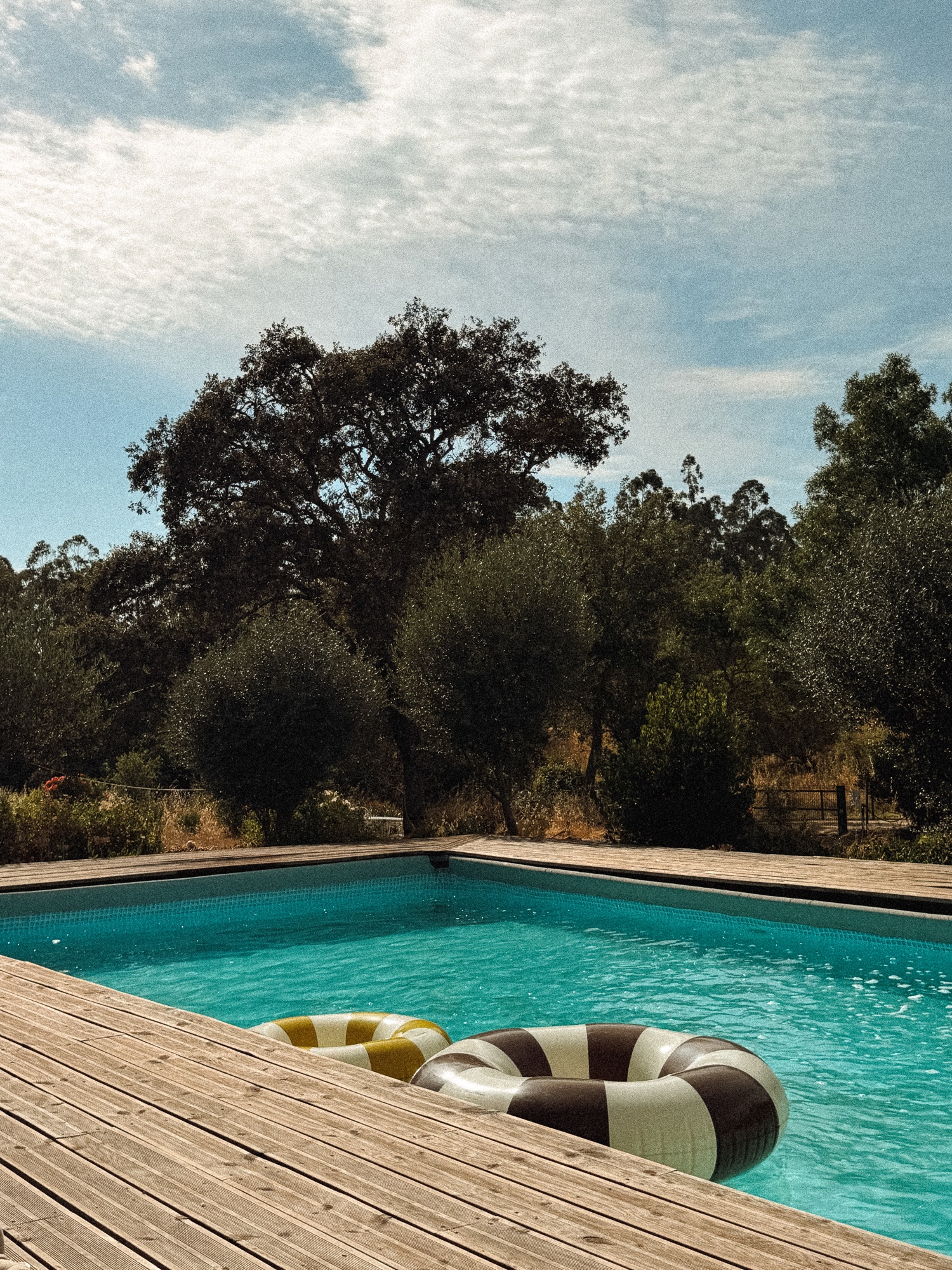 Pool & Lounge